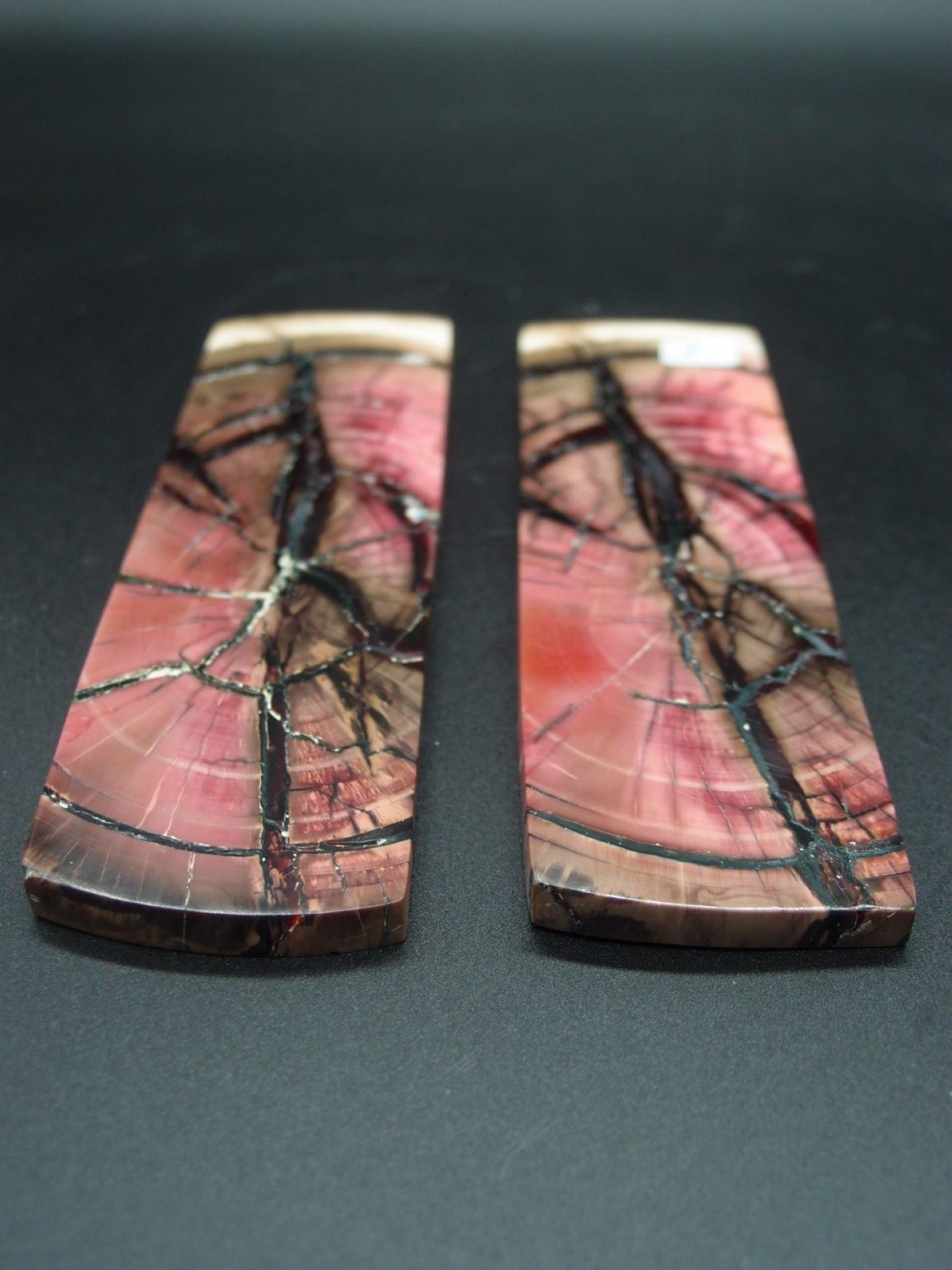 Tranche d’ivoire de mammouth stabilisés