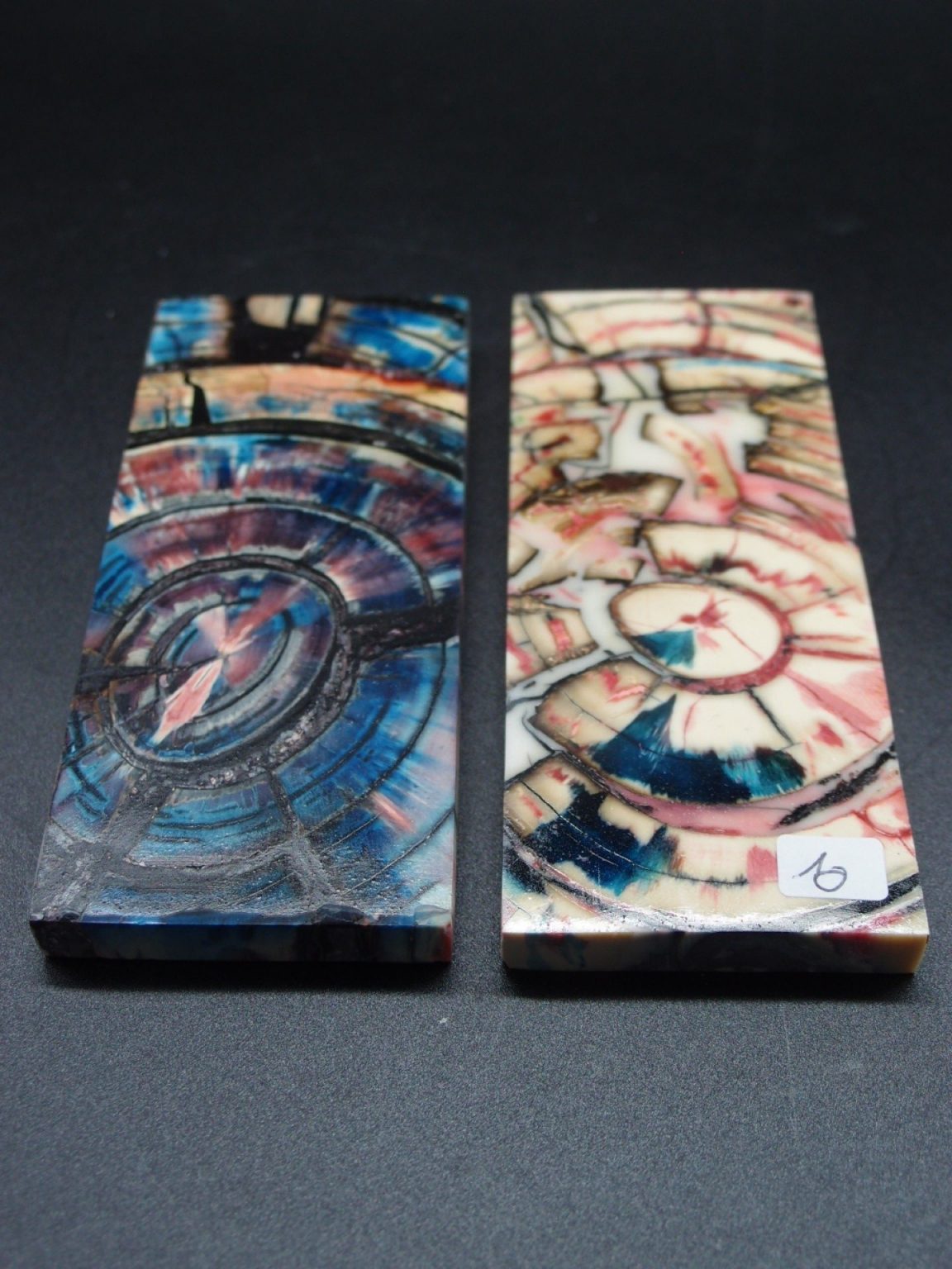 Tranche d’ivoire de mammouth stabilisés