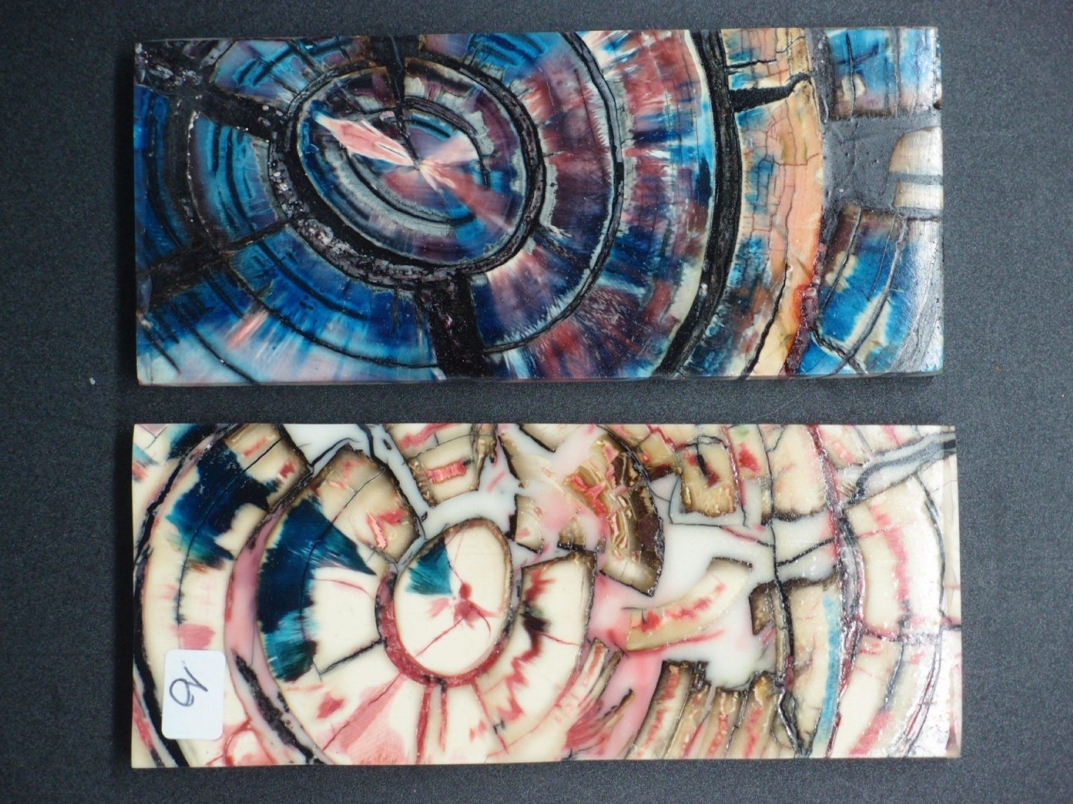 Tranche d’ivoire de mammouth stabilisés