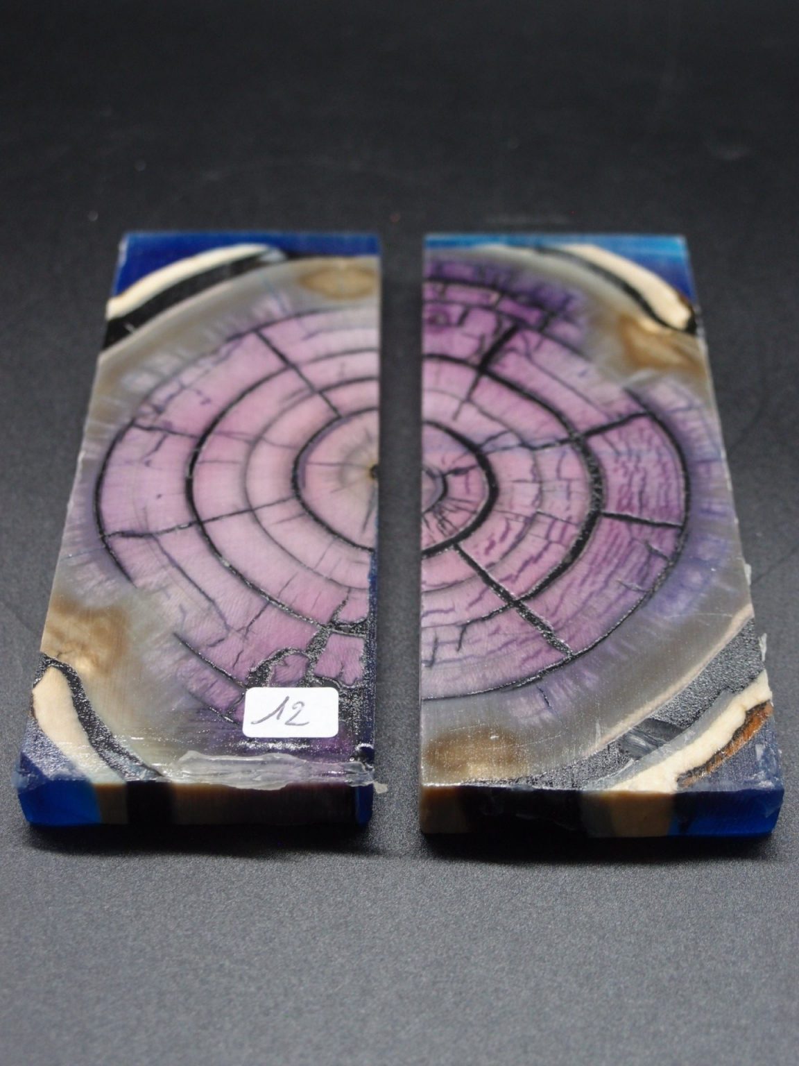 Tranche d’ivoire de mammouth stabilisés