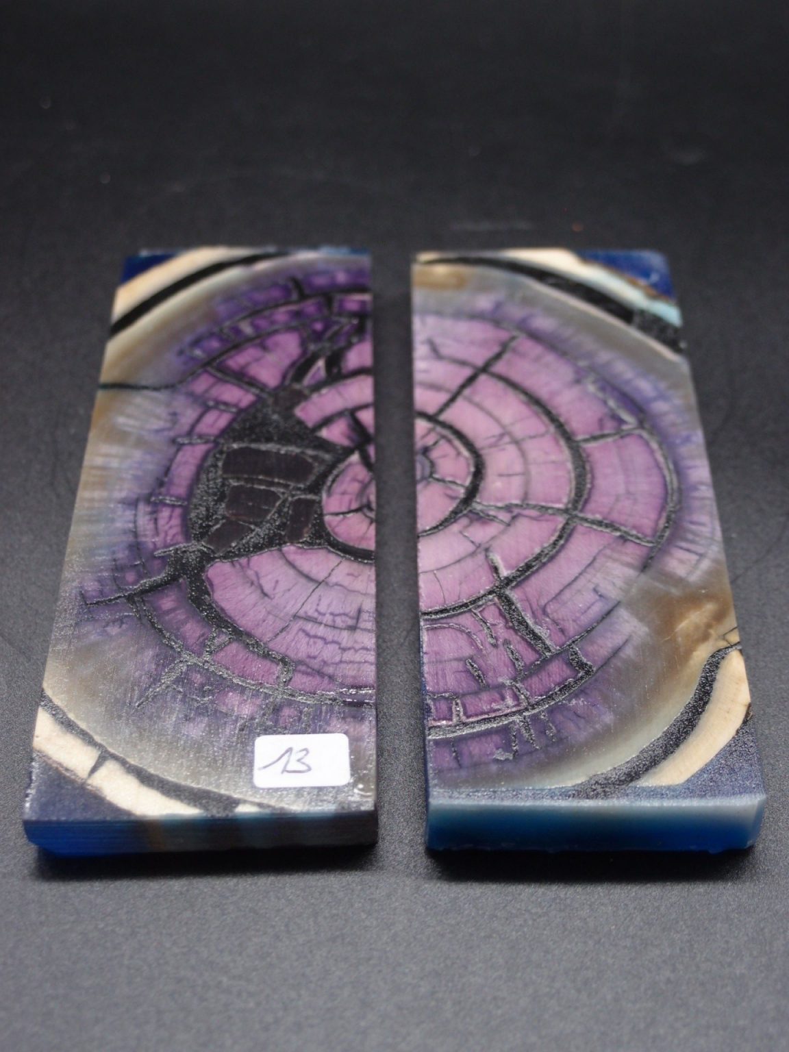 Tranche d’ivoire de mammouth stabilisés