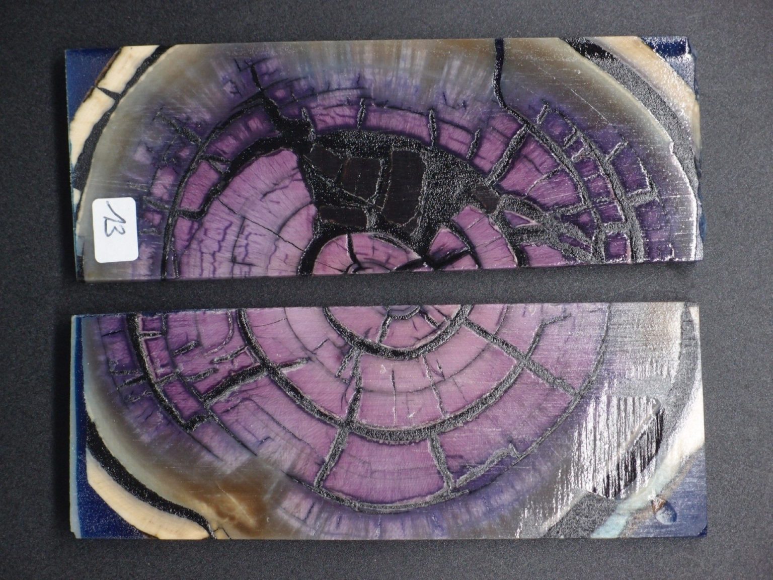 Tranche d’ivoire de mammouth stabilisés