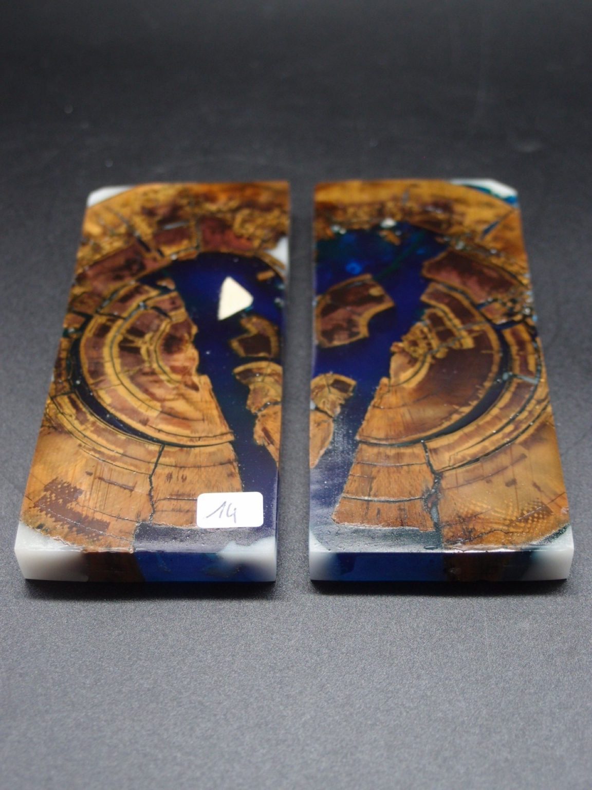 Tranche d’ivoire de mammouth stabilisés