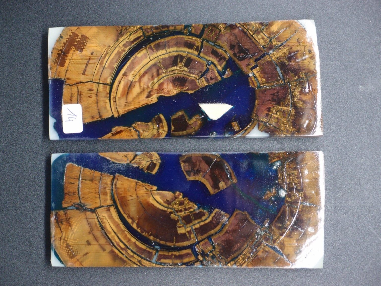 Tranche d’ivoire de mammouth stabilisés