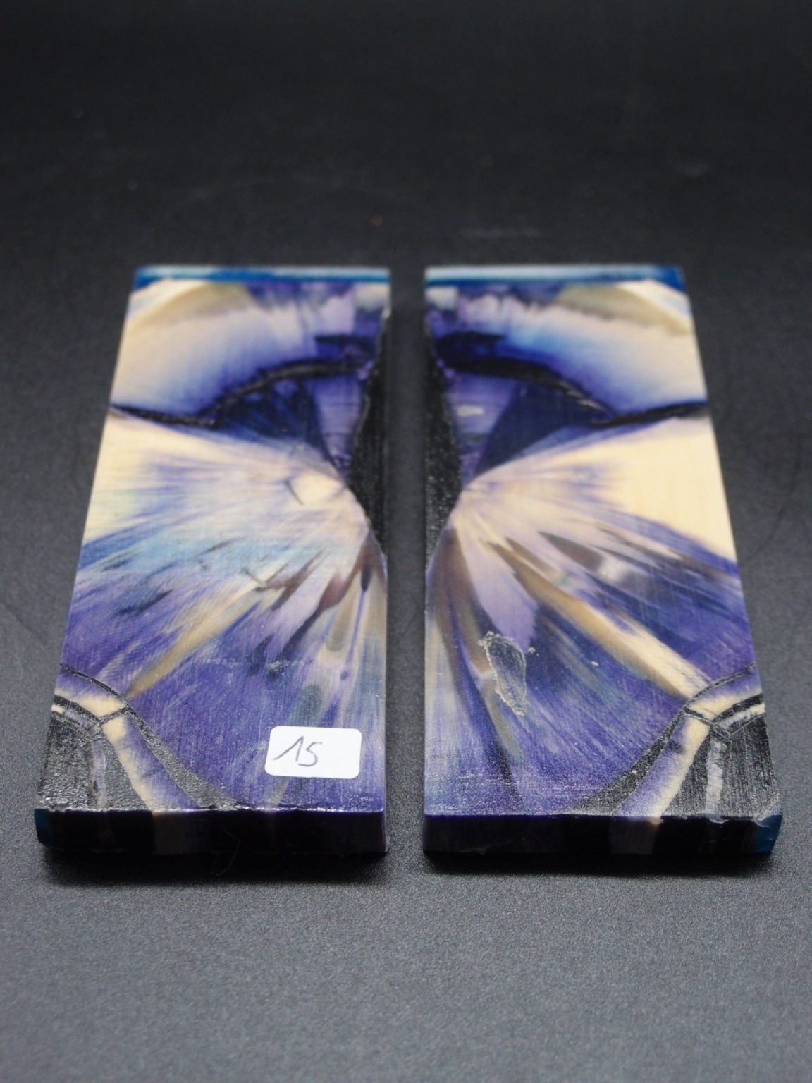 Tranche d’ivoire de mammouth stabilisés