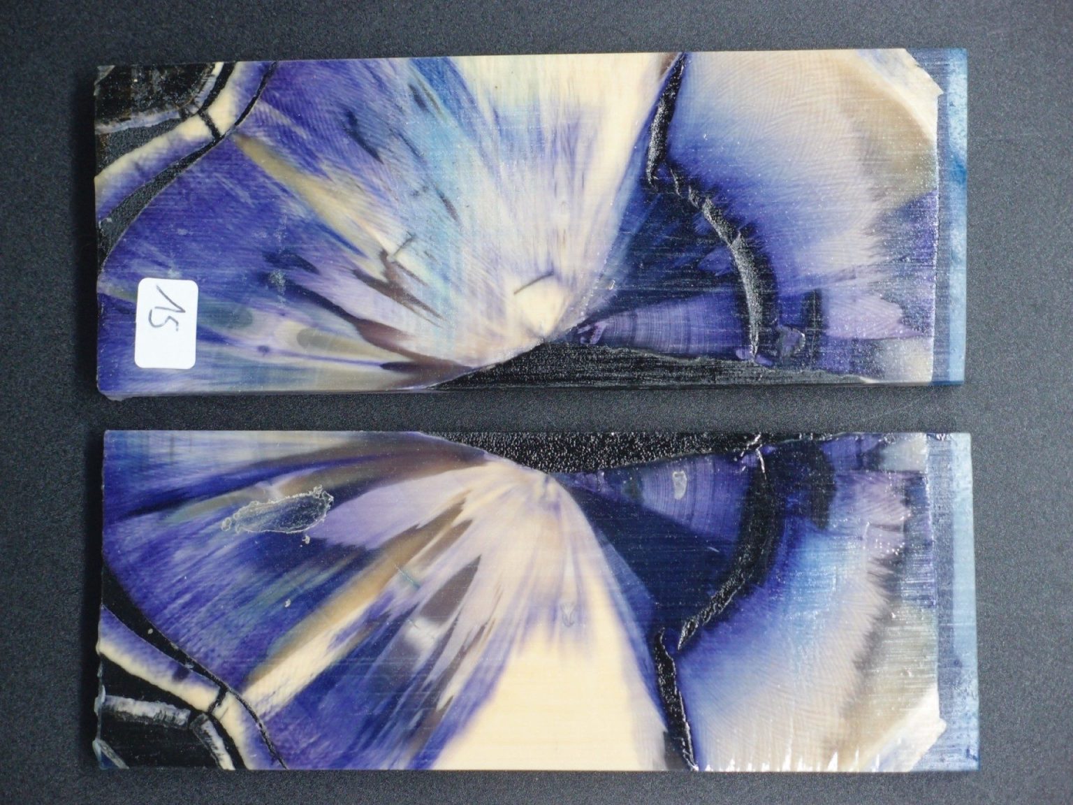 Tranche d’ivoire de mammouth stabilisés