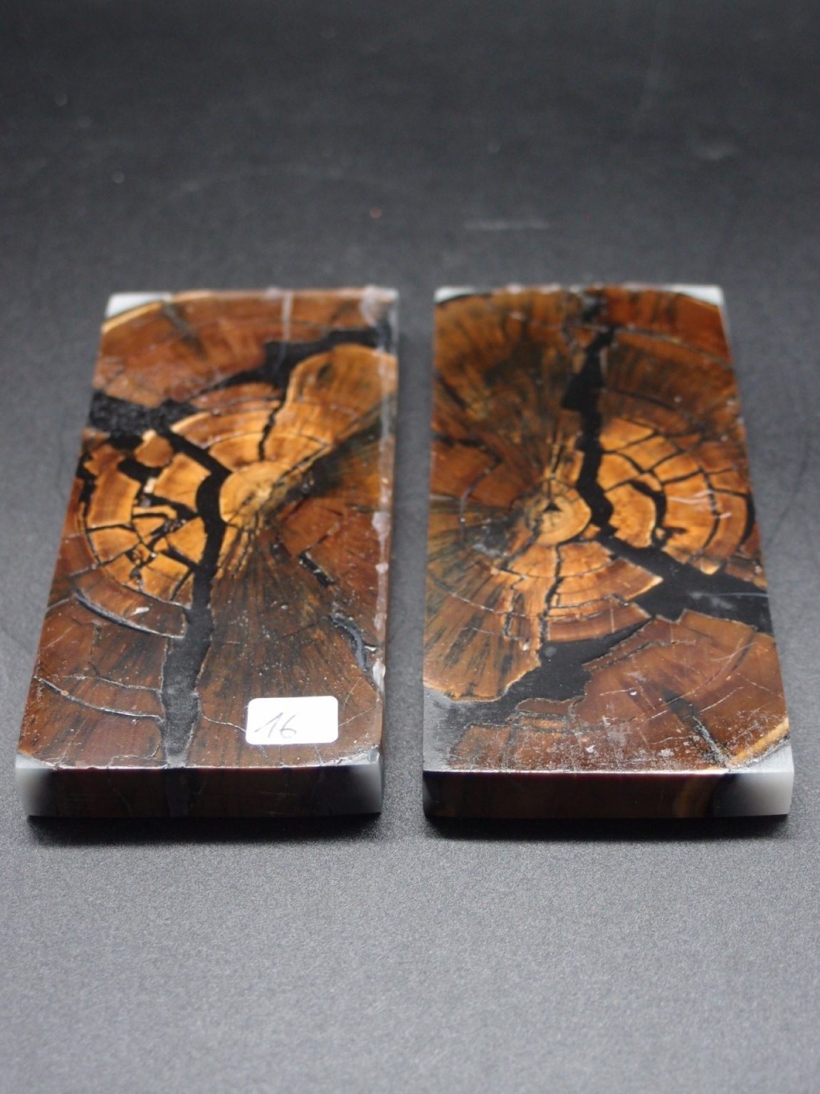 Tranche d’ivoire de mammouth stabilisés