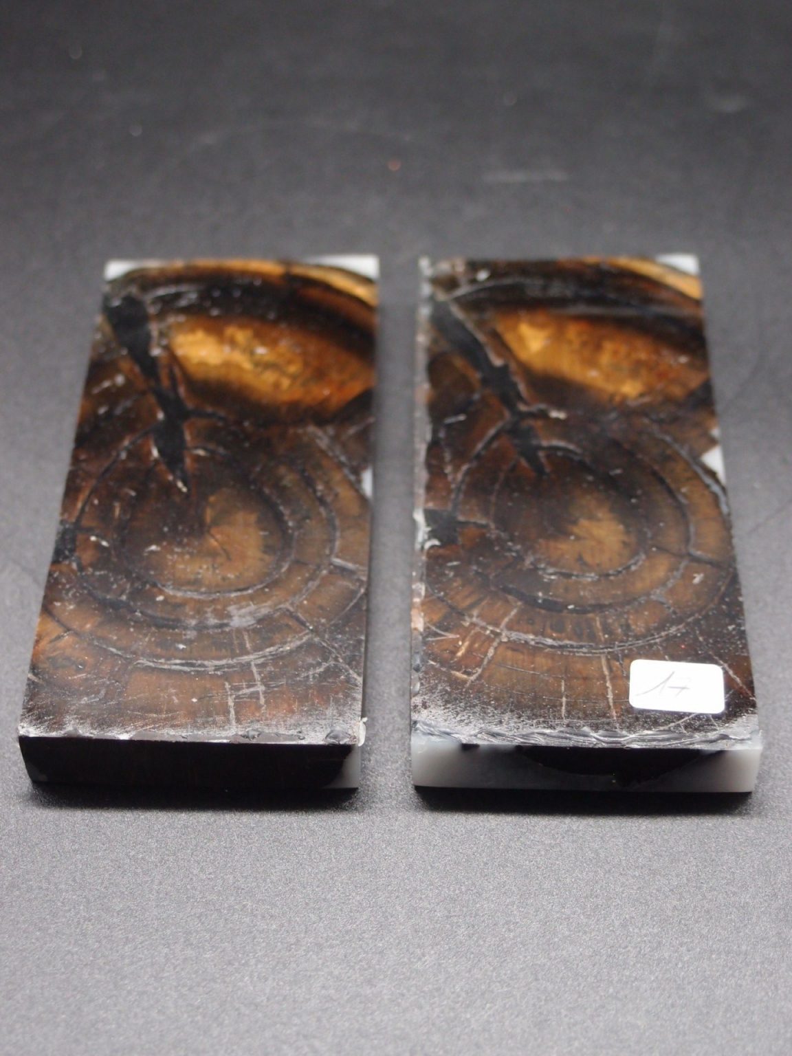 Tranche d’ivoire de mammouth stabilisés