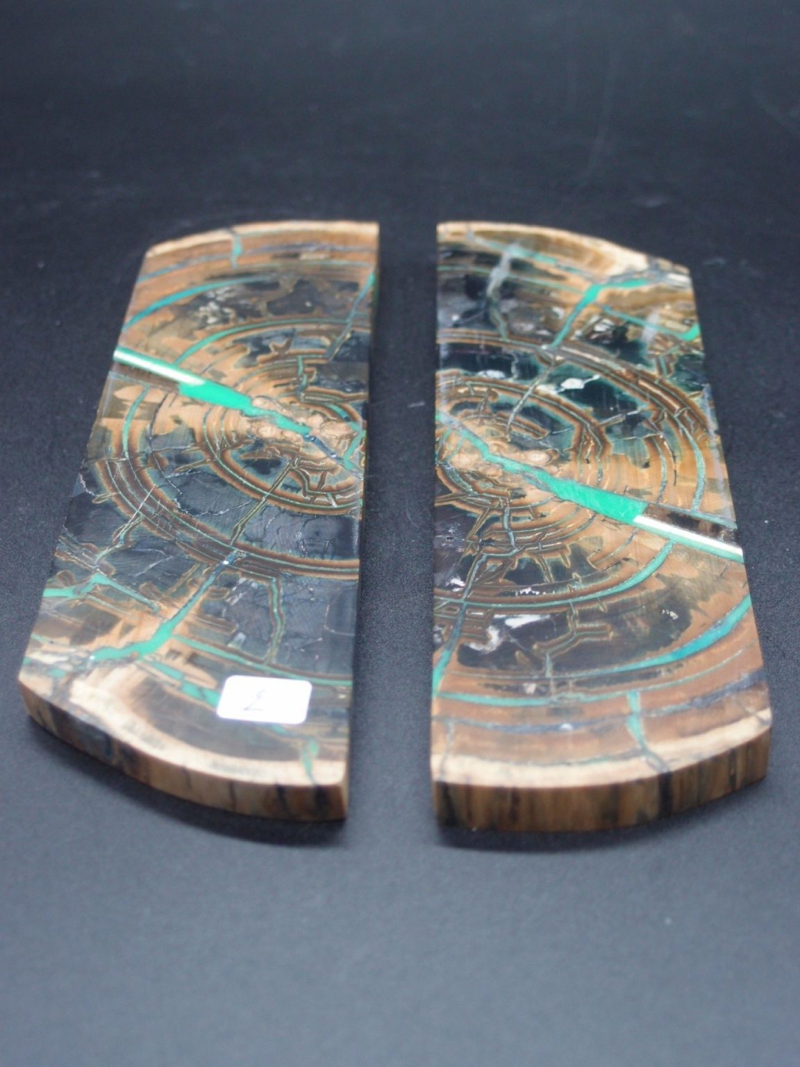 Tranche d’ivoire de mammouth stabilisés