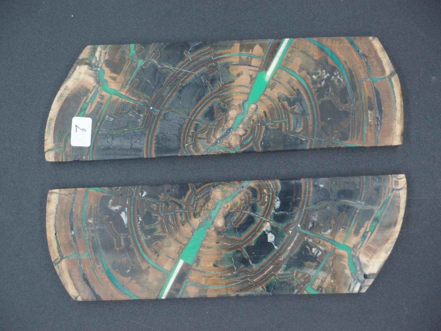 Tranche d’ivoire de mammouth stabilisés