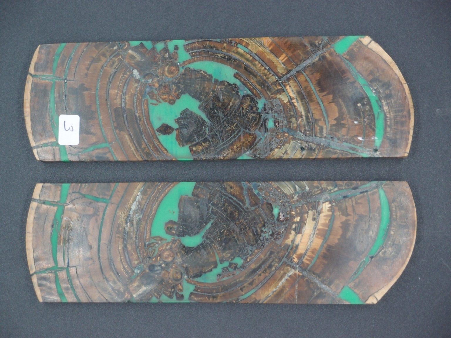 Tranche d’ivoire de mammouth stabilisés