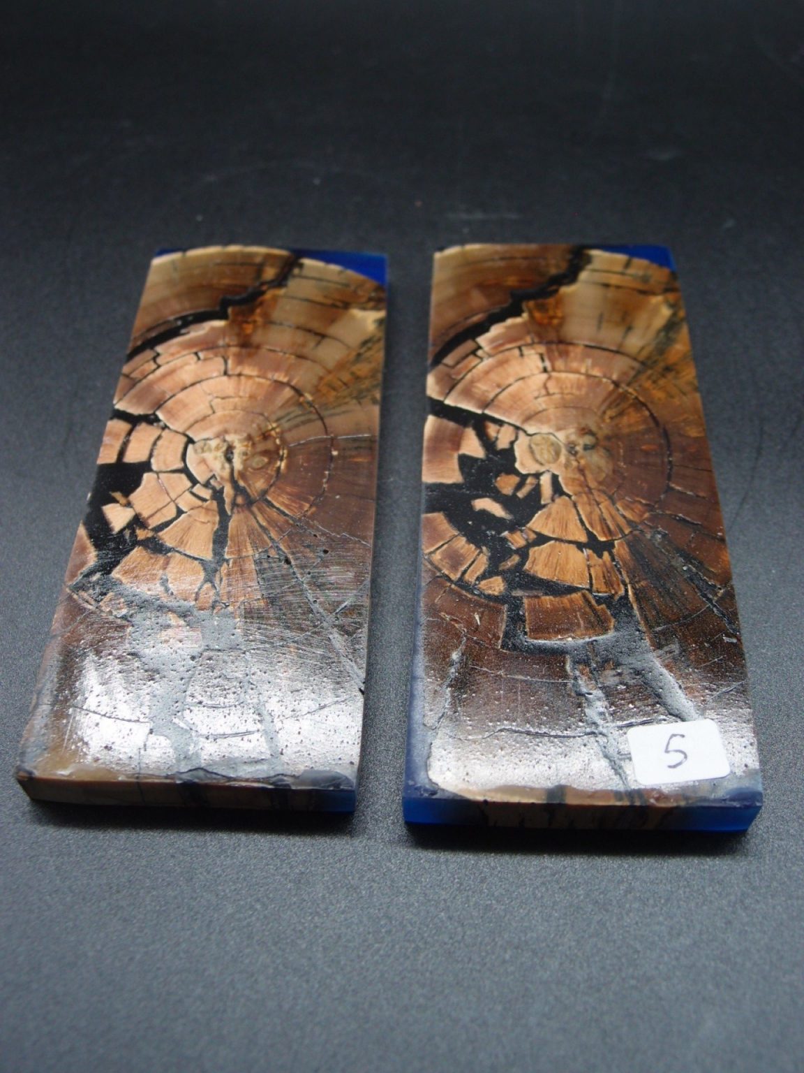 Tranche d’ivoire de mammouth stabilisés