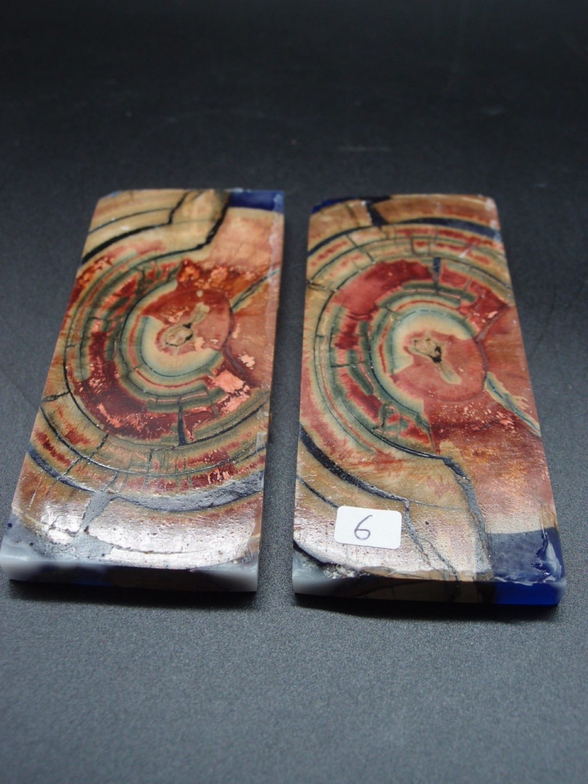 Tranche d’ivoire de mammouth stabilisés