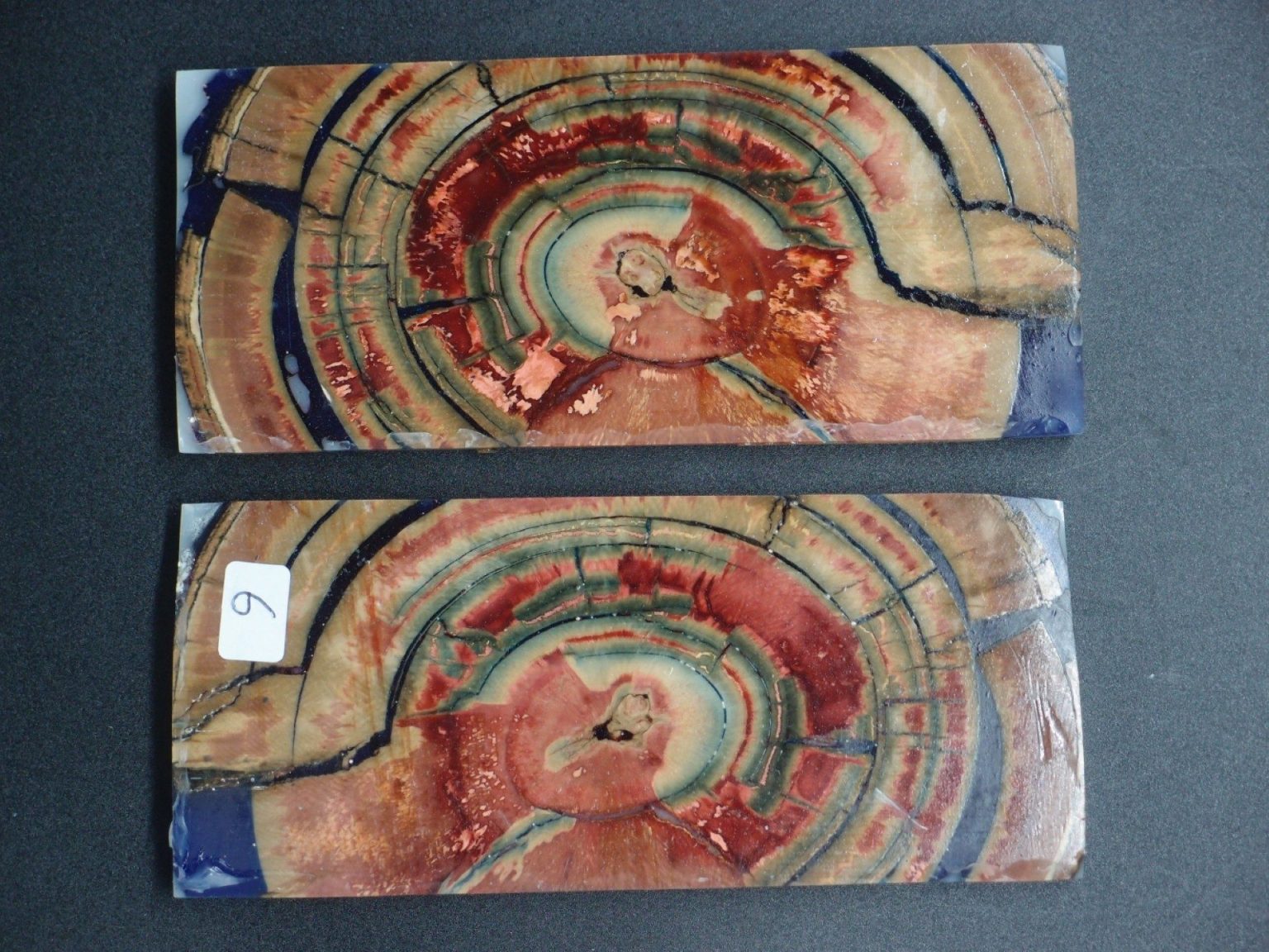 Tranche d’ivoire de mammouth stabilisés