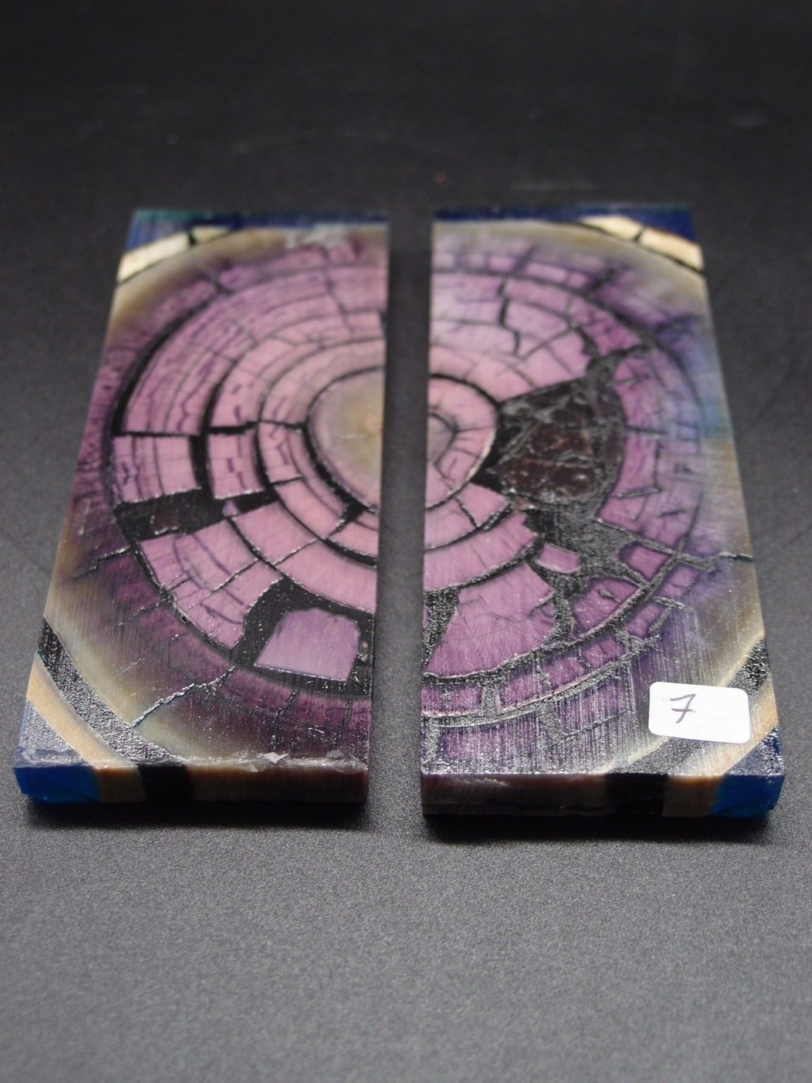 Tranche d’ivoire de mammouth stabilisés