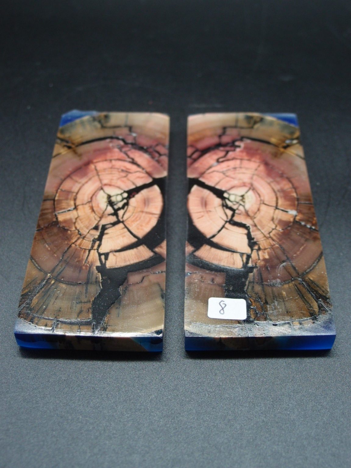 Tranche d’ivoire de mammouth stabilisés