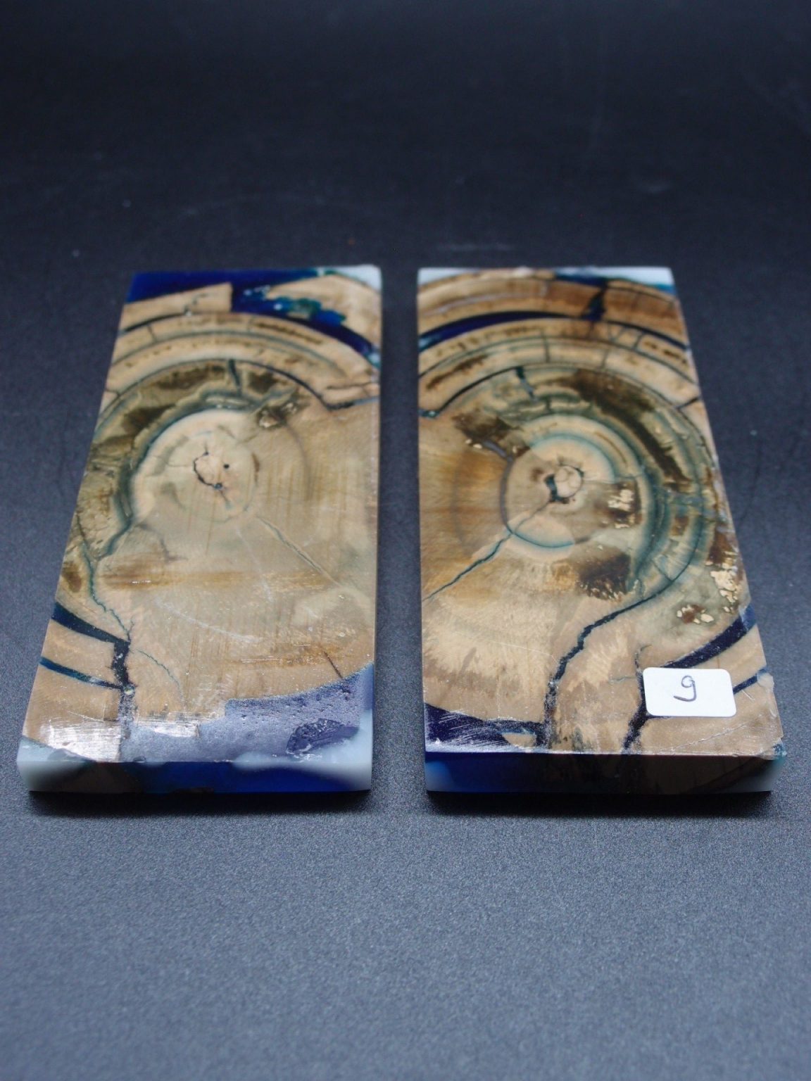 Tranche d’ivoire de mammouth stabilisés