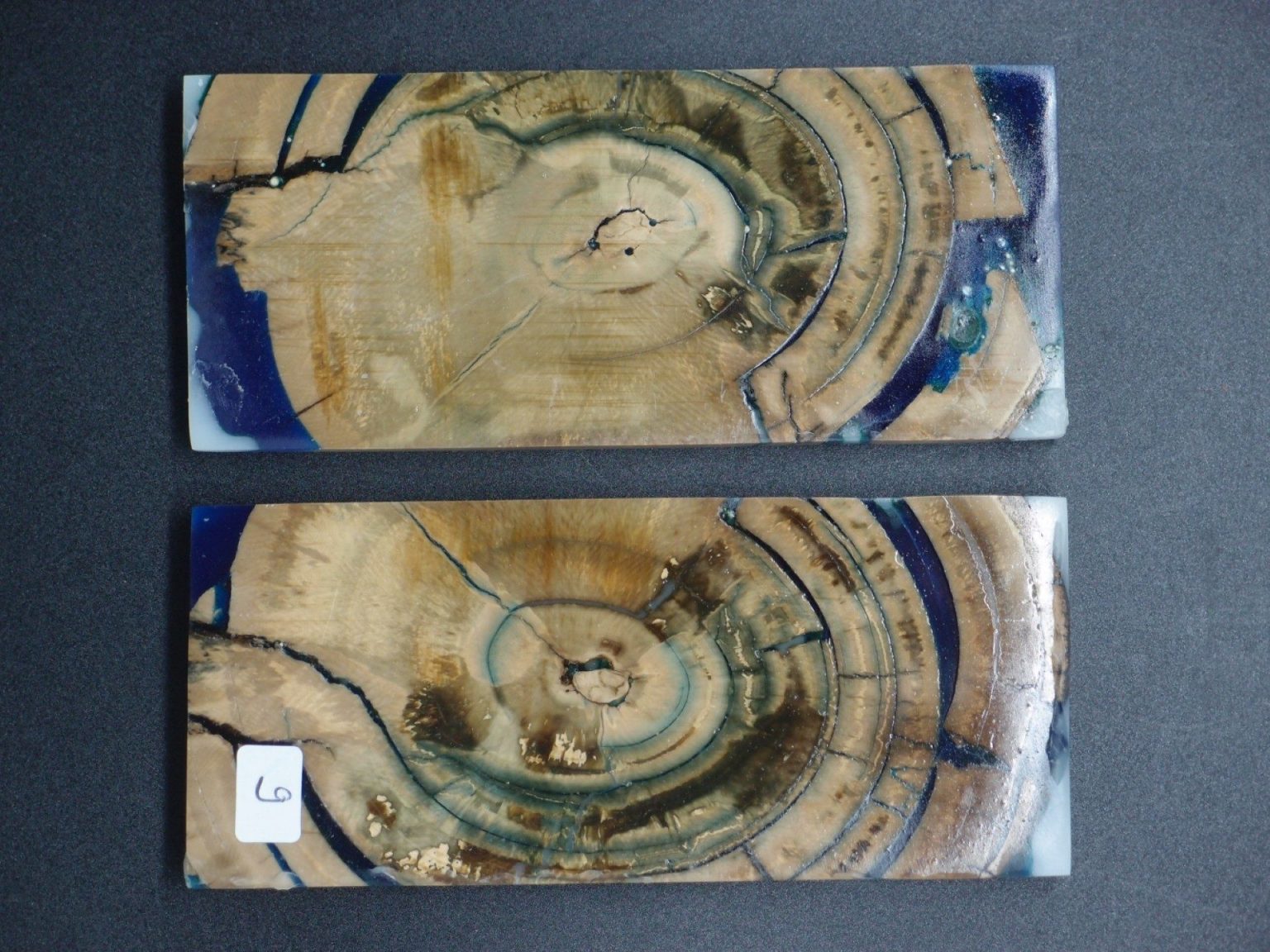 Tranche d’ivoire de mammouth stabilisés