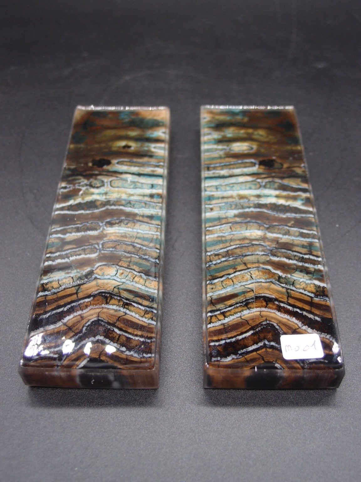 Molaire de mammouth stabilisée