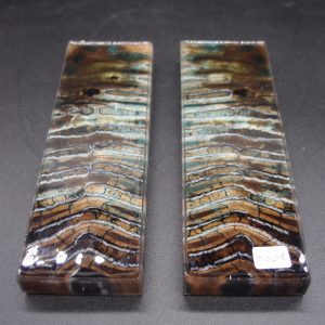 Molaire de mammouth stabilisée