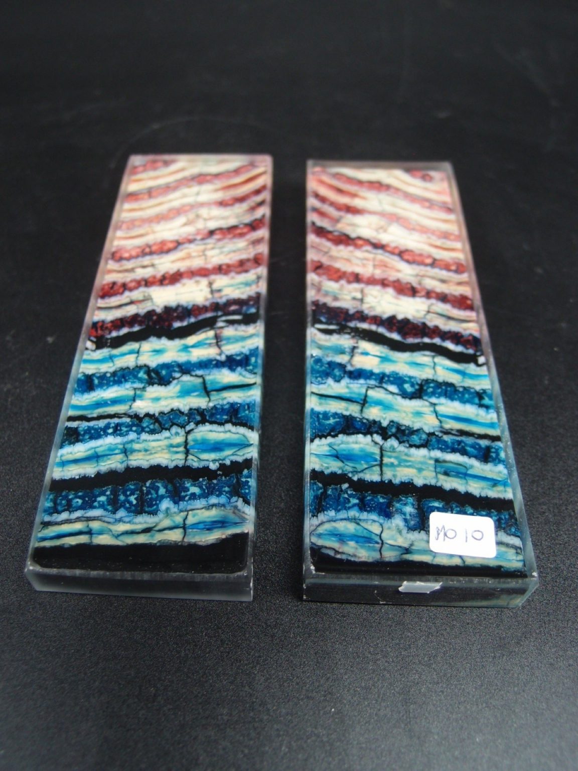 Molaire de mammouth stabilisée