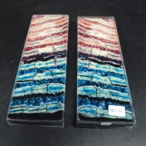 Molaire de mammouth stabilisée