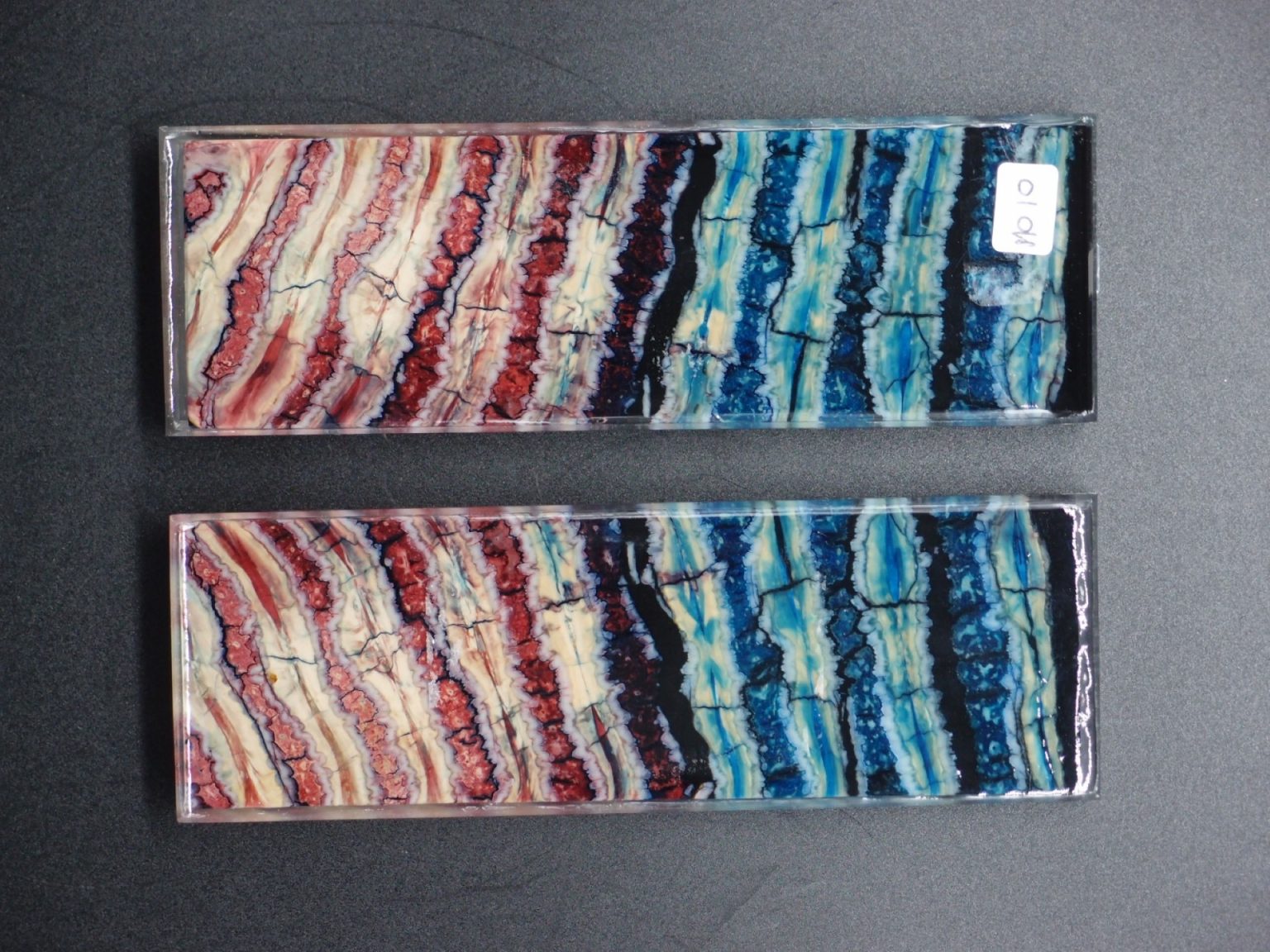 Molaire de mammouth stabilisée