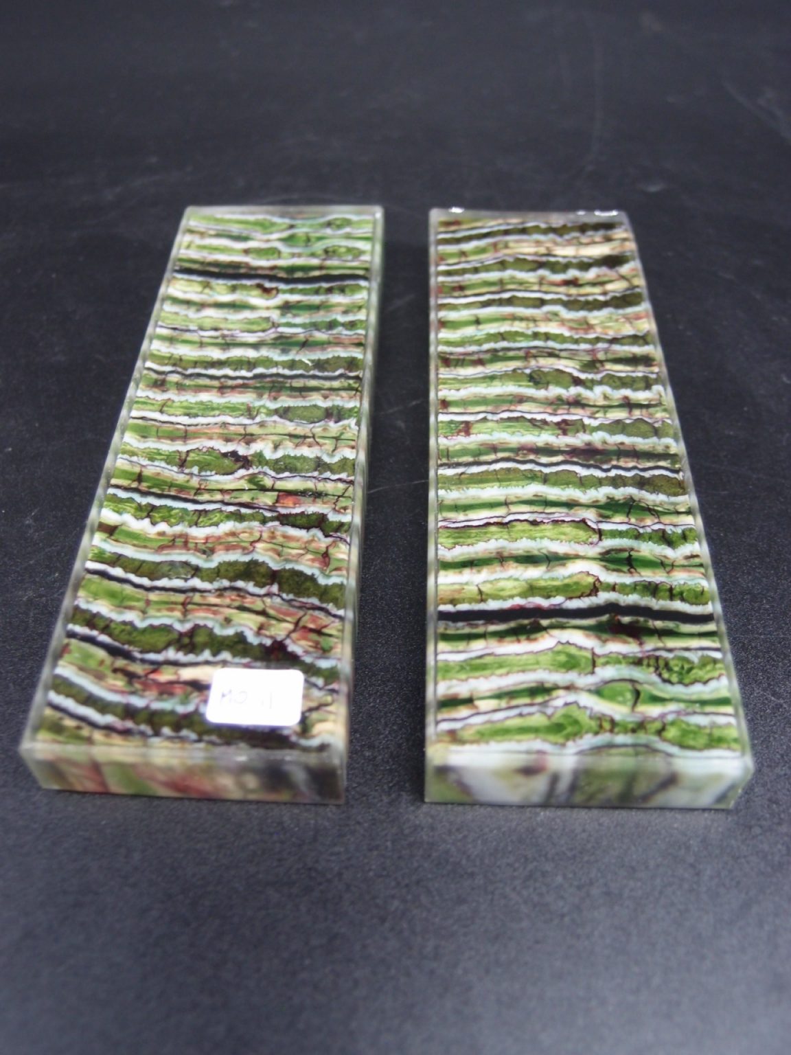 Molaire de mammouth stabilisée