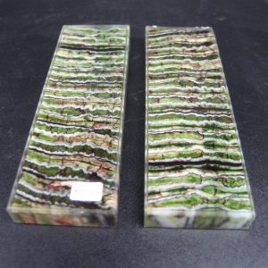 Molaire de mammouth stabilisée