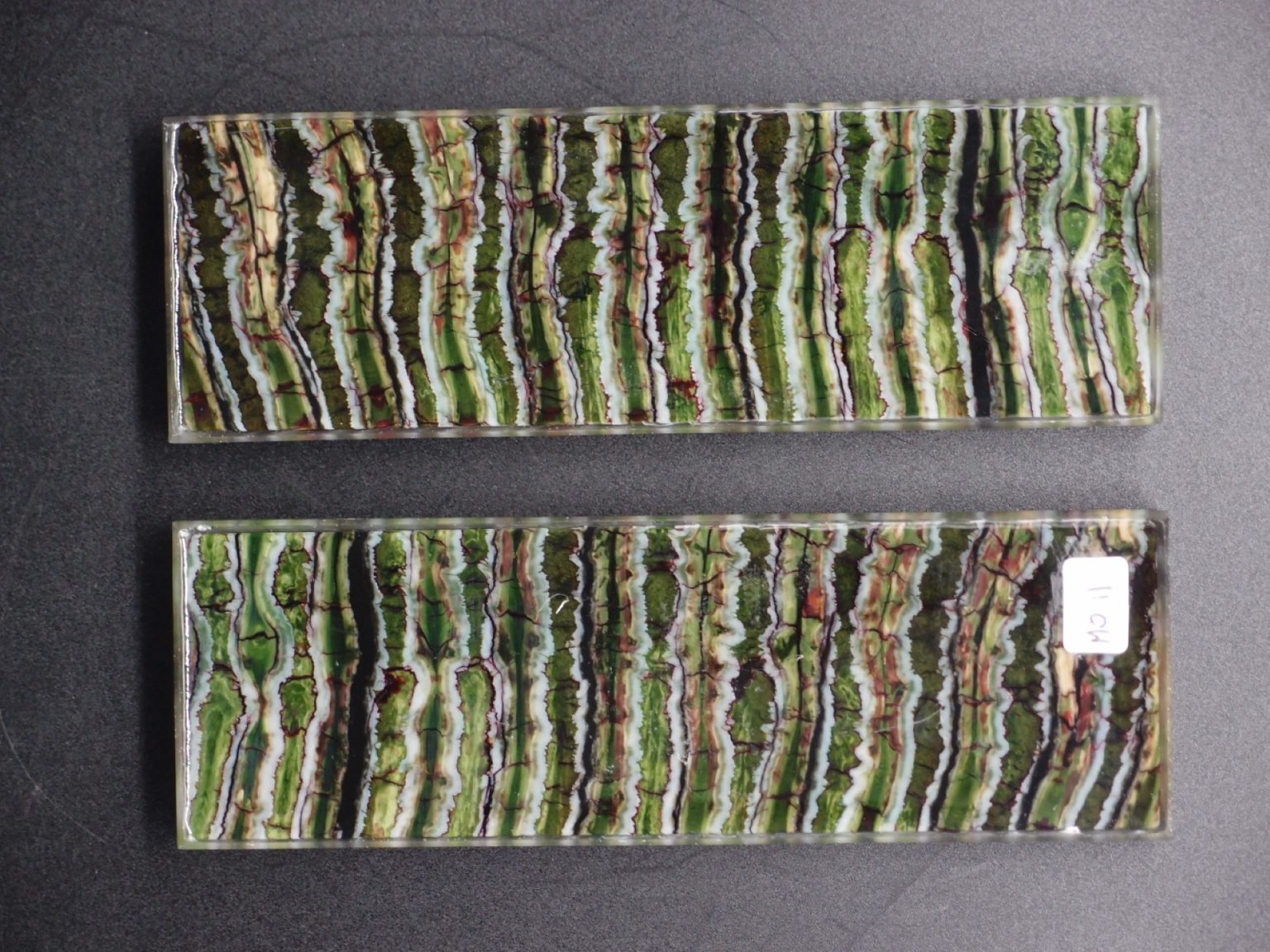 Molaire de mammouth stabilisée