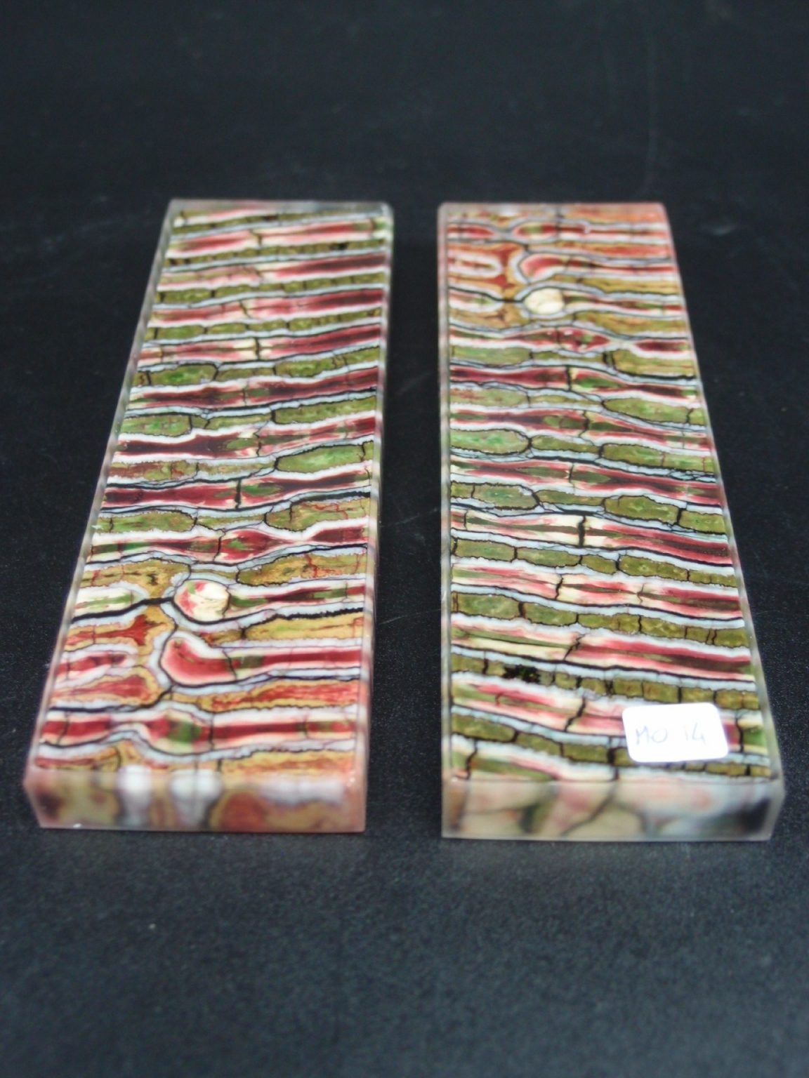 Molaire de mammouth stabilisée