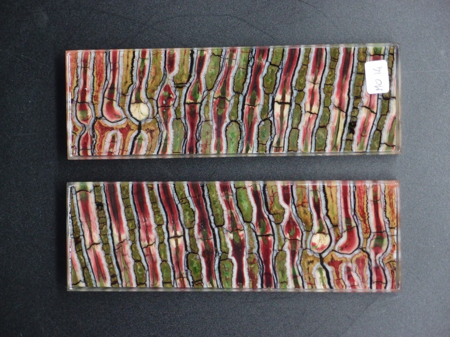 Molaire de mammouth stabilisée