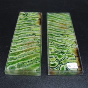 Molaire de mammouth stabilisée