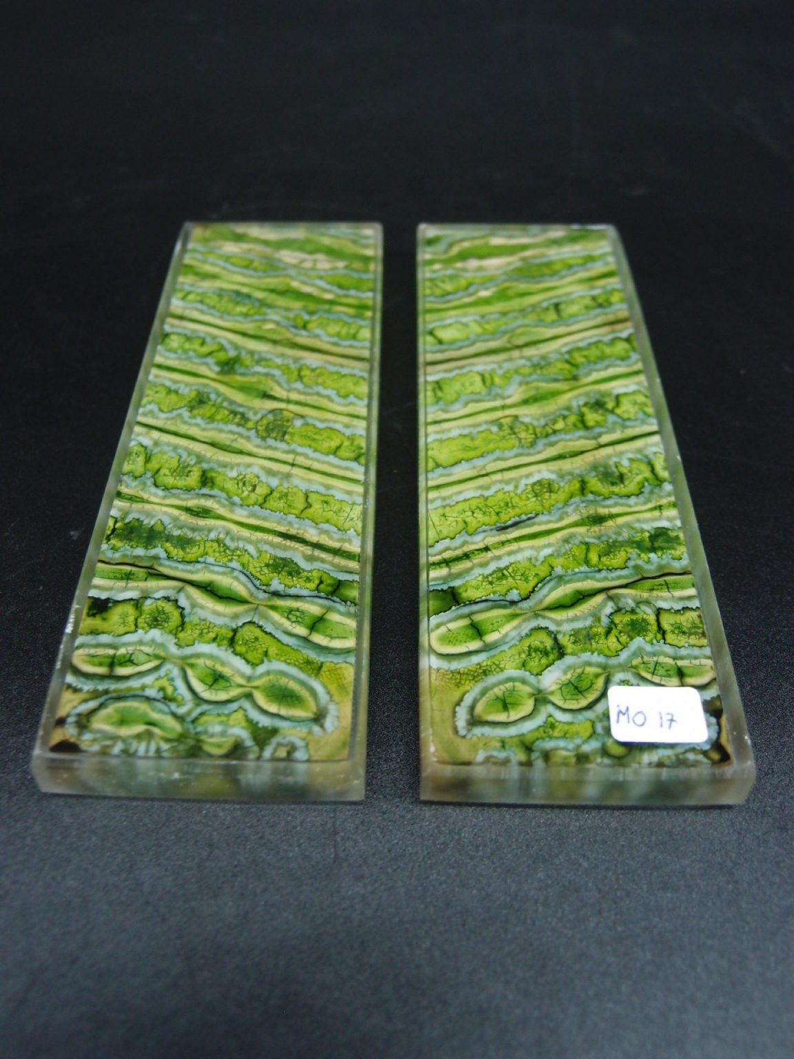 Molaire de mammouth stabilisée