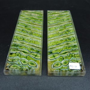 Molaire de mammouth stabilisée