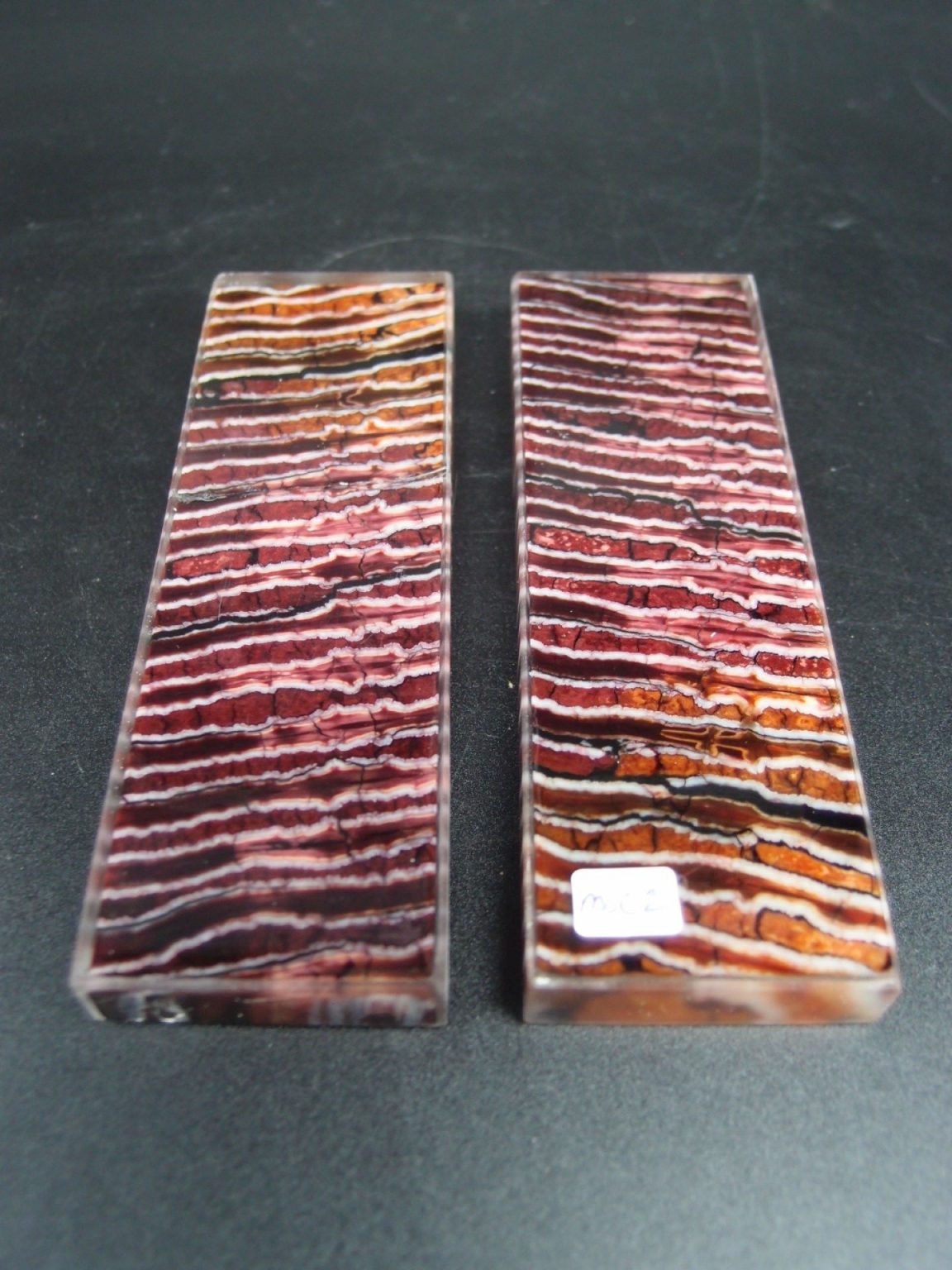 Molaire de mammouth stabilisée