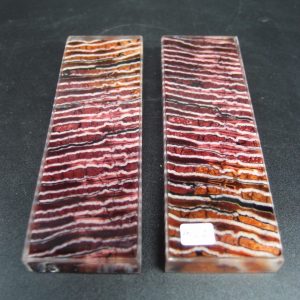 Molaire de mammouth stabilisée