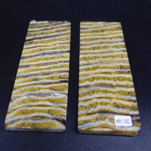 Molaire de mammouth stabilisée