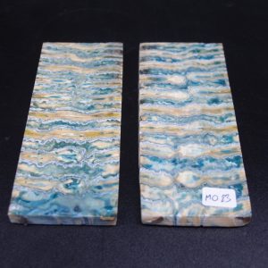 Molaire de mammouth stabilisée