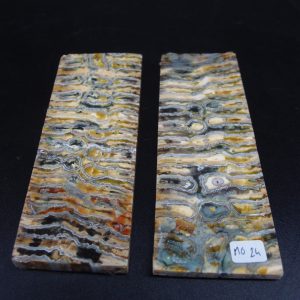 Molaire de mammouth stabilisée