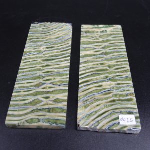 Molaire de mammouth stabilisée