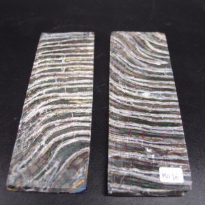 Molaire de mammouth stabilisée