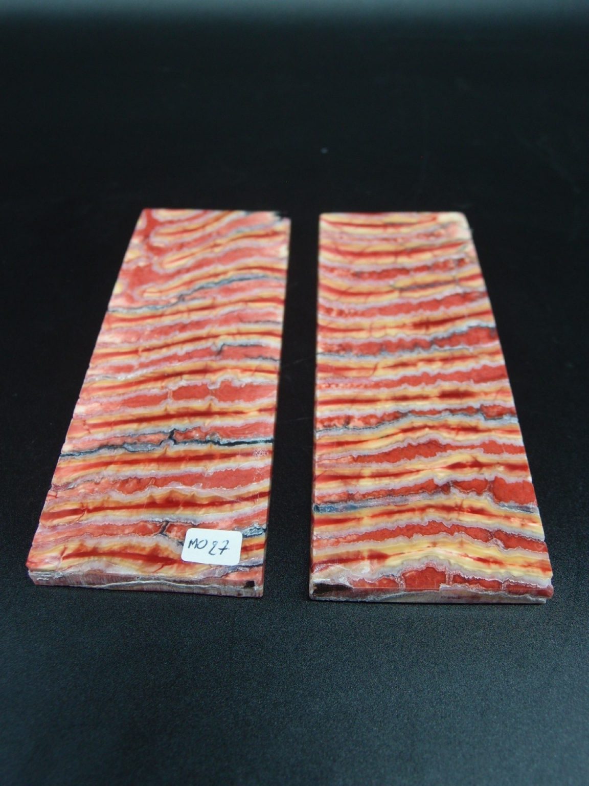 Molaire de mammouth stabilisée