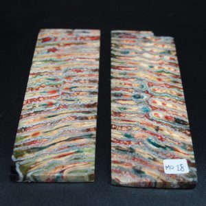 Molaire de mammouth stabilisée