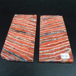 Molaire de mammouth stabilisée