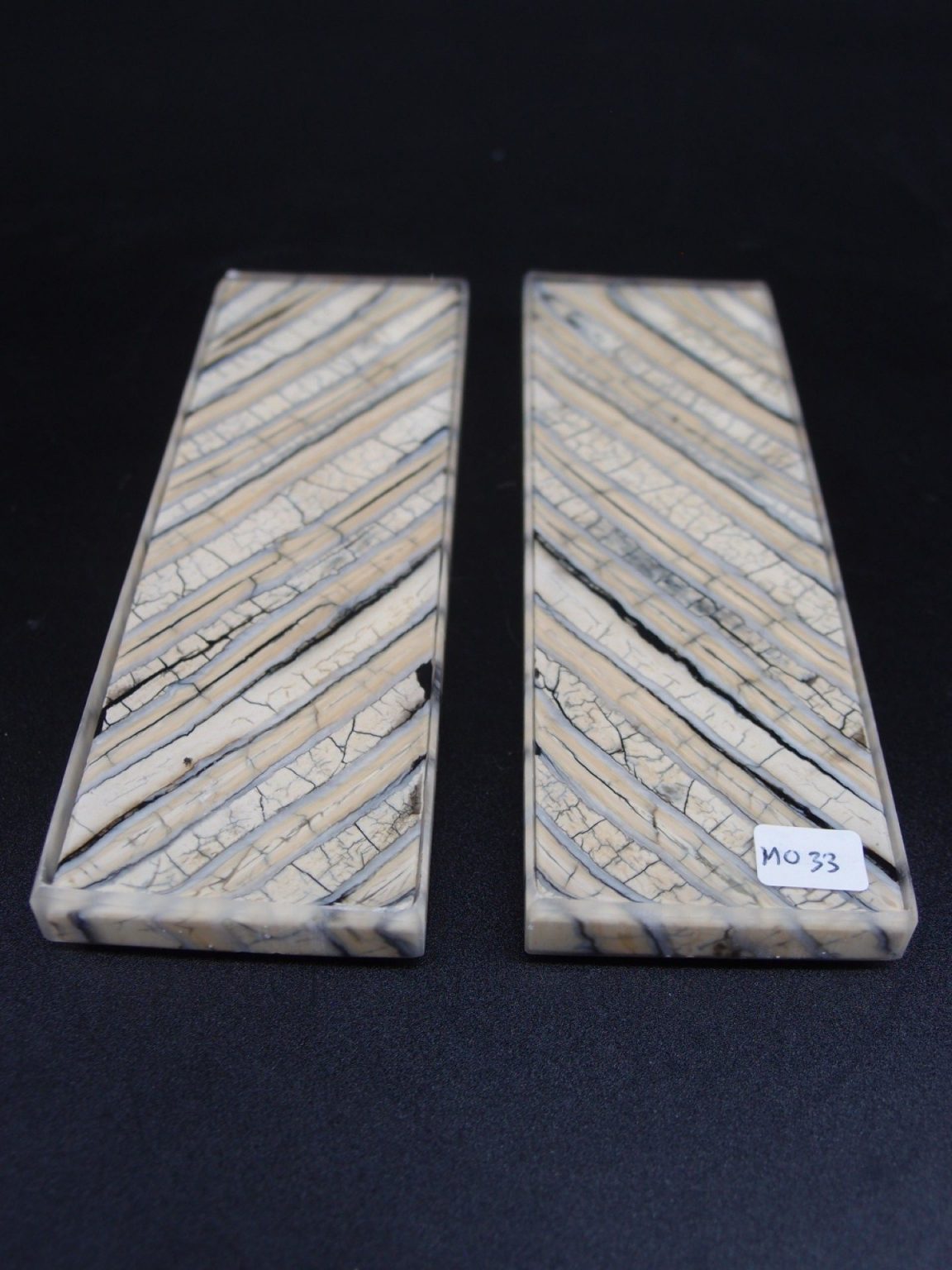 Molaire de mammouth stabilisée