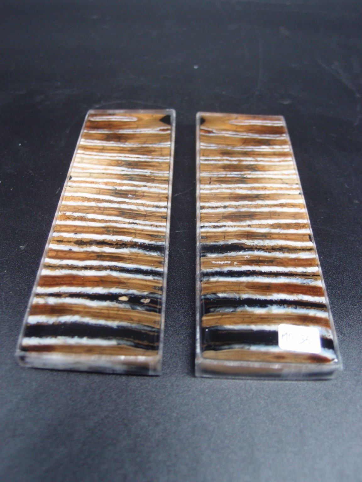 Molaire de mammouth stabilisée