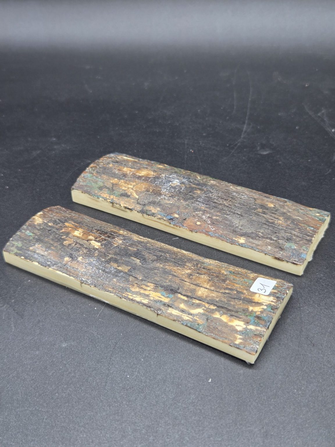 Écaille de mammouth