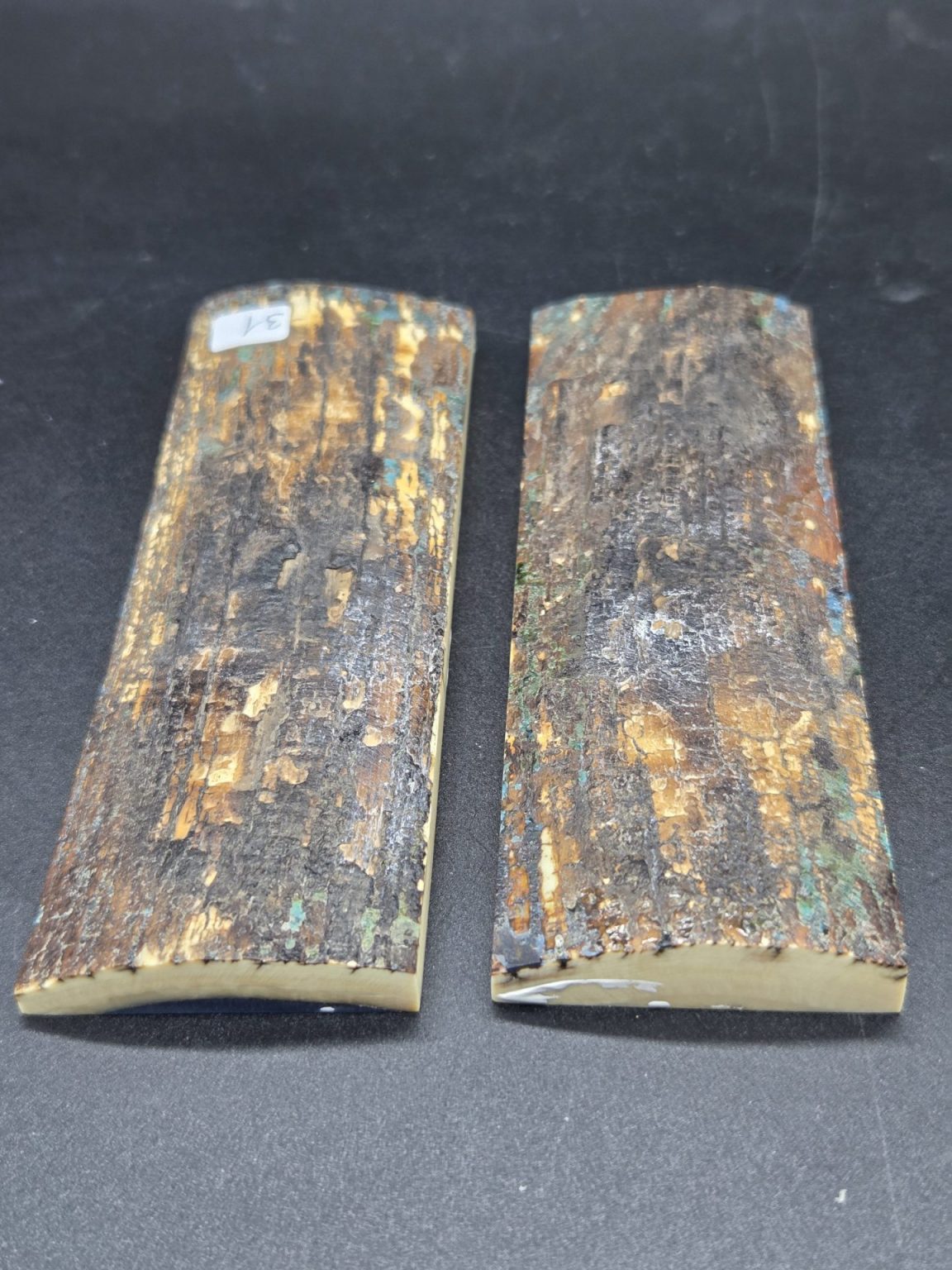 Écaille de mammouth