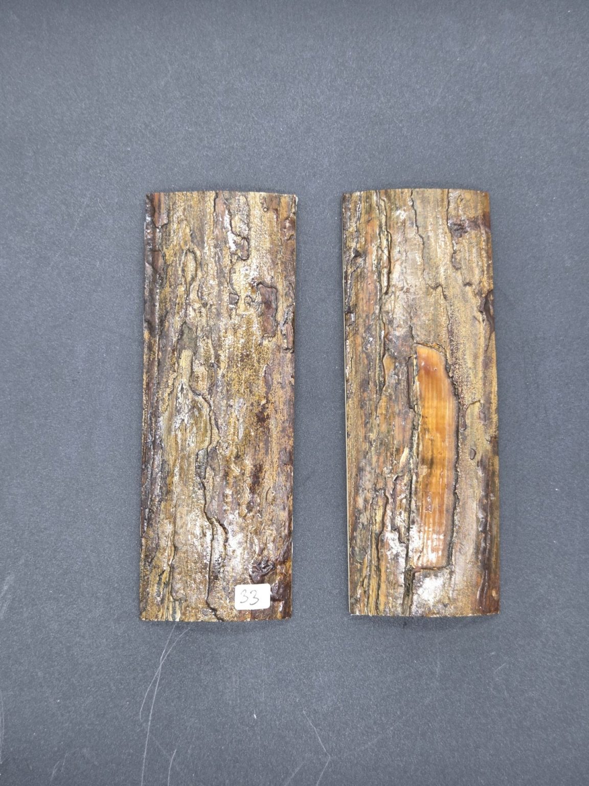 Écaille de mammouth